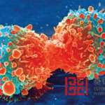 CStone Pharmaceuticals Initiates First-in-Human Trial for PD-1/VEGF/CTLA-4 Trispecific Antibody CS2009