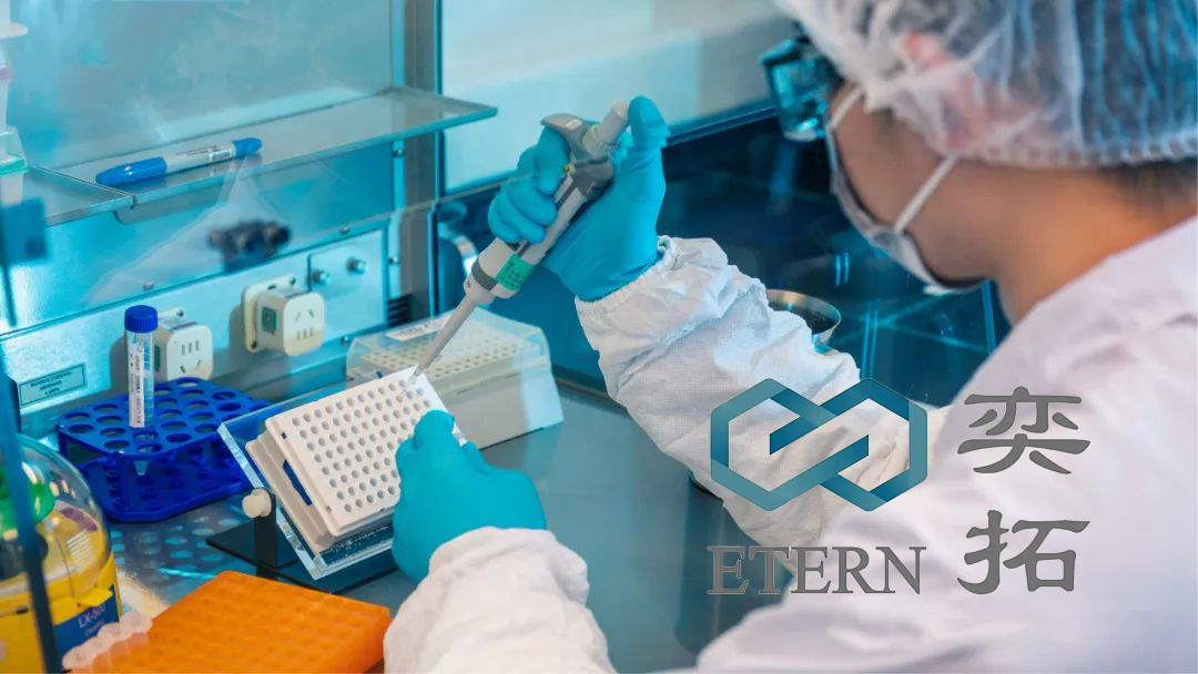 ETERN Therapeutics’ YAP/TEAD Inhibitor ETS-006 Wins FDA Clinical Approval for Advanced Solid Tumors