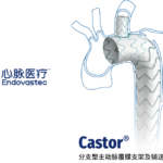 MicroPort Endovascular MedTech's Castor® Branched Stent Wins China Patent Gold Award