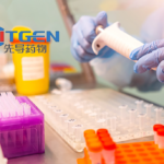 HitGen Inc. Initiates Phase II Clinical Trial for HG146 in Adenoid Cystic Carcinoma
