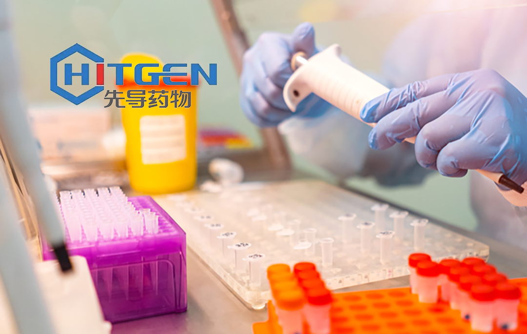 HitGen Inc. Initiates Phase II Clinical Trial for HG146 in Adenoid Cystic Carcinoma