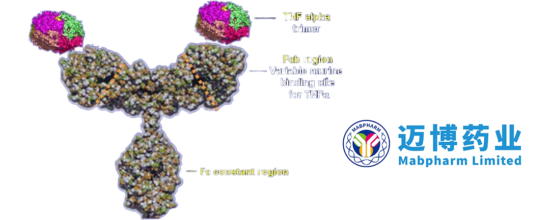 MabPharm’s CMAB807 Biosimilar Receives Market Approval in Indonesia and Peru