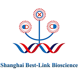 Explore the latest insights on Best-Link Bioscience and its impact on China's pharmaceutical industry. Fineline Info & Tech delivers reliable data, news, and intelligence to help you navigate the complexities of Best-Link Bioscience's developments with precision and clarity. Stay informed and enhance your decision-making at flcube.com.