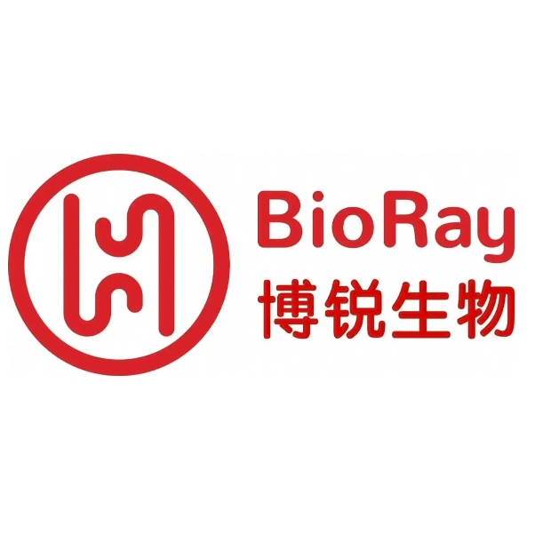Explore the latest insights on BioRay Pharmaceutical and its impact on China's pharmaceutical industry. Fineline Info & Tech delivers reliable data, news, and intelligence to help you navigate the complexities of BioRay Pharmaceutical's developments with precision and clarity. Stay informed and enhance your decision-making at flcube.com.