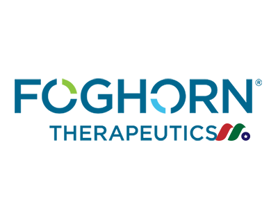 Explore the latest insights on Foghorn Therapeutics its impact on China's pharmaceutical industry. Fineline Info & Tech delivers reliable data, news, and intelligence to help you navigate the complexities of Foghorn Therapeutics's developments with precision and clarity. Stay informed and enhance your decision-making at flcube.com.