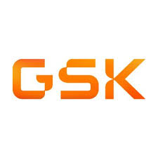 Explore the latest insights on GSK and its impact on China's pharmaceutical industry. Fineline Info & Tech delivers reliable data, news, and intelligence to help you navigate the complexities of GSK's developments with precision and clarity. Stay informed and enhance your decision-making at flcube.com.