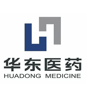 Explore the latest insights on Huadong Medicine and its impact on China's pharmaceutical industry. Fineline Info & Tech delivers reliable data, news, and intelligence to help you navigate the complexities of Huadong Medicine's developments with precision and clarity. Stay informed and enhance your decision-making at flcube.com.