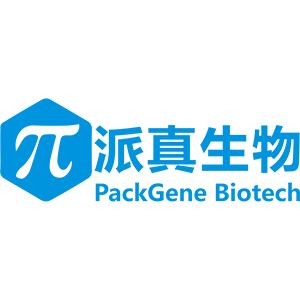 Explore the latest insights on PackGene Biotech and its impact on China's pharmaceutical industry. Fineline Info & Tech delivers reliable data, news, and intelligence to help you navigate the complexities of PackGene Biotech's developments with precision and clarity. Stay informed and enhance your decision-making at flcube.com.