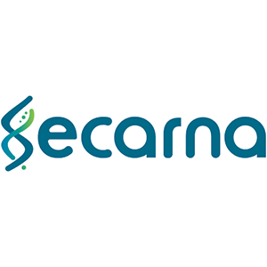 Explore the latest insights on Secarna Pharmaceuticals and its impact on China's pharmaceutical industry. Fineline Info & Tech delivers reliable data, news, and intelligence to help you navigate the complexities of Secarna Pharmaceuticals' developments with precision and clarity. Stay informed and enhance your decision-making at flcube.com.