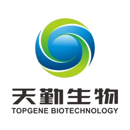 Explore the latest insights on Topgene Biotechnology and its impact on China's pharmaceutical industry. Fineline Info & Tech delivers reliable data, news, and intelligence to help you navigate the complexities of Topgene Biotechnology's developments with precision and clarity. Stay informed and enhance your decision-making at flcube.com.