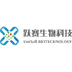 Explore the latest insights on Unixell Biotechnology and its impact on China's pharmaceutical industry. Fineline Info & Tech delivers reliable data, news, and intelligence to help you navigate the complexities of Unixell Biotechnology's developments with precision and clarity. Stay informed and enhance your decision-making at flcube.com.