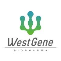 Explore the latest insights on WestGene Biopharma and its impact on China's pharmaceutical industry. Fineline Info & Tech delivers reliable data, news, and intelligence to help you navigate the complexities of WestGene Biopharma's developments with precision and clarity. Stay informed and enhance your decision-making at flcube.com.