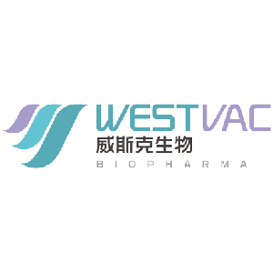 Explore the latest insights on WestVac Biopharma and its impact on China's pharmaceutical industry. Fineline Info & Tech delivers reliable data, news, and intelligence to help you navigate the complexities of WestVac Biopharma's developments with precision and clarity. Stay informed and enhance your decision-making at flcube.com.