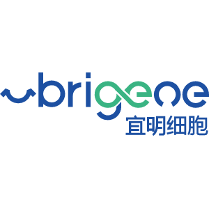 Explore the latest insights on Yiming Cell Biotechnology and its impact on China's pharmaceutical industry. Fineline Info & Tech delivers reliable data, news, and intelligence to help you navigate the complexities of Yiming Cell Biotechnology's developments with precision and clarity. Stay informed and enhance your decision-making at flcube.com.