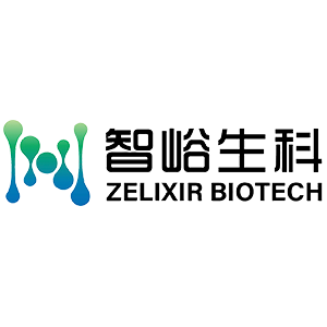 Explore the latest insights on Zelixir Biotech and its impact on China's pharmaceutical industry. Fineline Info & Tech delivers reliable data, news, and intelligence to help you navigate the complexities of Zelixir Biotech's developments with precision and clarity. Stay informed and enhance your decision-making at flcube.com.