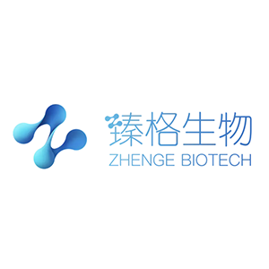 Explore the latest insights on ZhenGe Biotech and its impact on China's pharmaceutical industry. Fineline Info & Tech delivers reliable data, news, and intelligence to help you navigate the complexities of ZhenGe Biotech's developments with precision and clarity. Stay informed and enhance your decision-making at flcube.com.