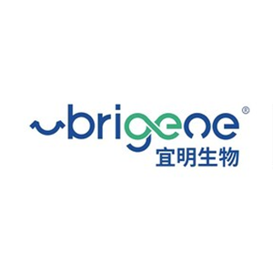 Explore the latest insights on uBriGene Biosciences and its impact on China's pharmaceutical industry. Fineline Info & Tech delivers reliable data, news, and intelligence to help you navigate the complexities of uBriGene Biosciences's developments with precision and clarity. Stay informed and enhance your decision-making at flcube.com.