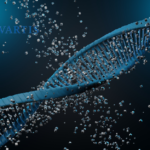 Novartis Announces Positive Results from Phase III STEER Study on SMA Treatment