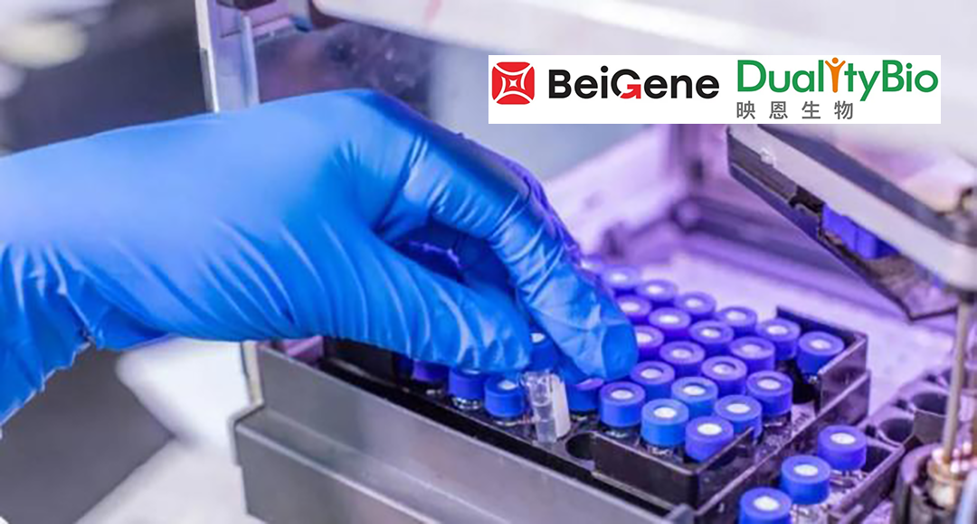 BeiGene Secures Global Rights to Duality Biologics’ B7H4 Targeted ADC DB1312/BG-C9074