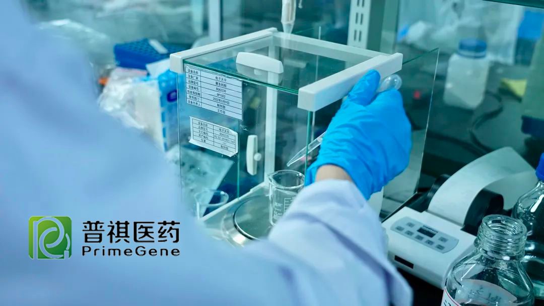 Prime Gene Therapeutics Secures Over RMB300 Million in Series B Financing