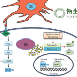 NMPA Grants Conditional Approval for China's First MSCs Therapy for aGVHD