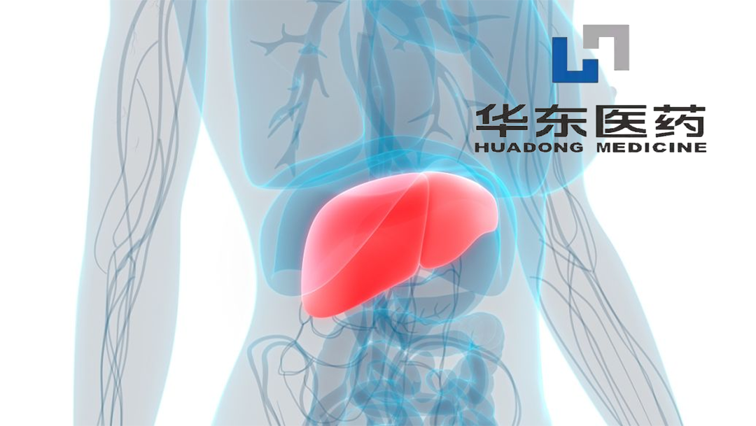 Huadong Medicine's HDM1005 Receives NMPA Approval for MAFLD/MASH Clinical Trial