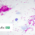 MicuRx Pharmaceuticals' MRX-5 Receives NMPA Approval for NTM Infections Clinical Study