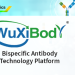 WuXi Biologics and Candid Therapeutics Ink Global Research Agreement for Trispecific T-cell Engager