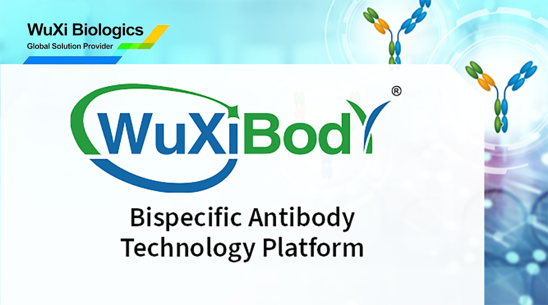 WuXi Biologics and Candid Therapeutics Ink Global Research Agreement for Trispecific T-cell Engager