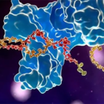 Simcere Zaiming's SIM0505 Receives NMPA Approval for Clinical Trials in Advanced Solid Tumors