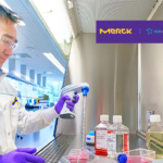 Merck KGaA Completes Acquisition of HUB Organoids, Expanding Cell Culture Portfolio