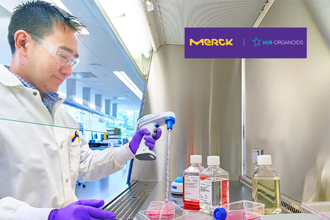 Merck KGaA Completes Acquisition of HUB Organoids, Expanding Cell Culture Portfolio