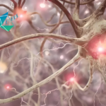 AbbVie Exercises Option for Capsida's Neurodegenerative Disease Program
