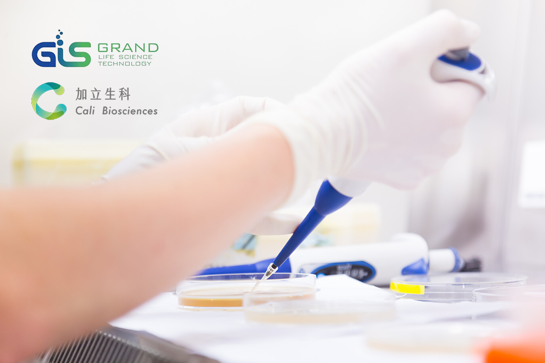 Grand Life Sciences Partners with Cali Biosciences for CPL-01 Commercialization in China