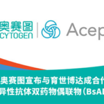 Biocytogen and Acepodia Partner to Develop Dual-Payload Bispecific ADCs for Oncology