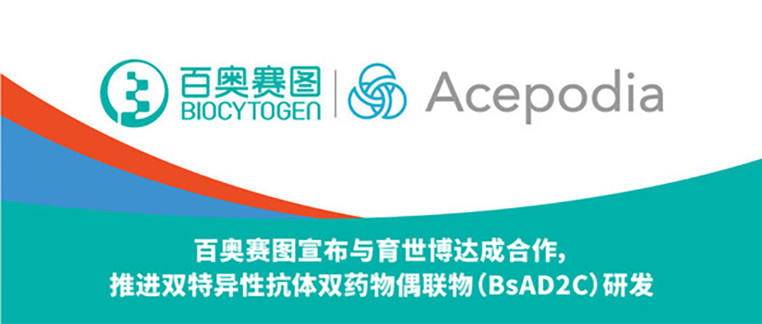 Biocytogen and Acepodia Partner to Develop Dual-Payload Bispecific ADCs for Oncology