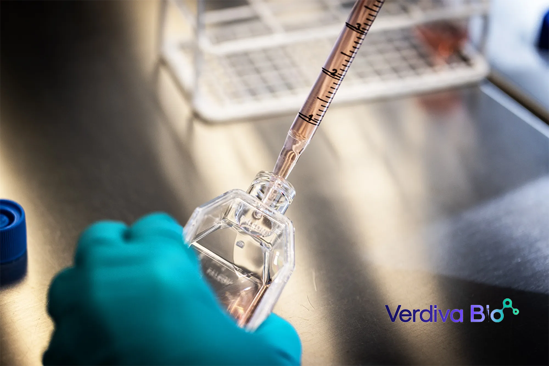 Verdiva Bio Launches with USD 411 Million Series A Financing for Biopharma Development