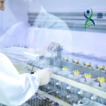 Keymed Biosciences Licenses CM313 to Timberlyne Therapeutics for Global Development