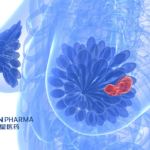 Fosun Pharmaceutical's FCN-437c Accepted for NMPA Review for Breast Cancer Treatment