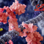 Eli Lilly in Advanced Talks to Acquire Scorpion Therapeutics for $2.5 Billion