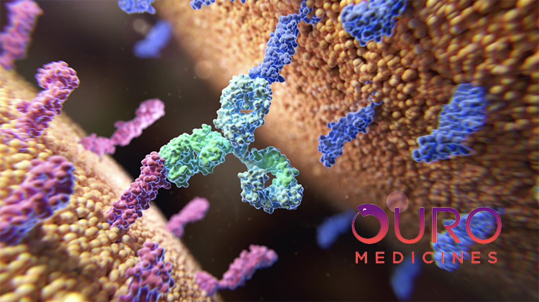 Ouro Medicines Launches with $120M Series A Financing for CM336 Development