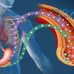 Innovent's IBI343 Receives Breakthrough Therapy Designation for Pancreatic Cancer