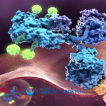 Daiichi Sankyo Acquires Gatipotuzumab IP Rights for $132.5M