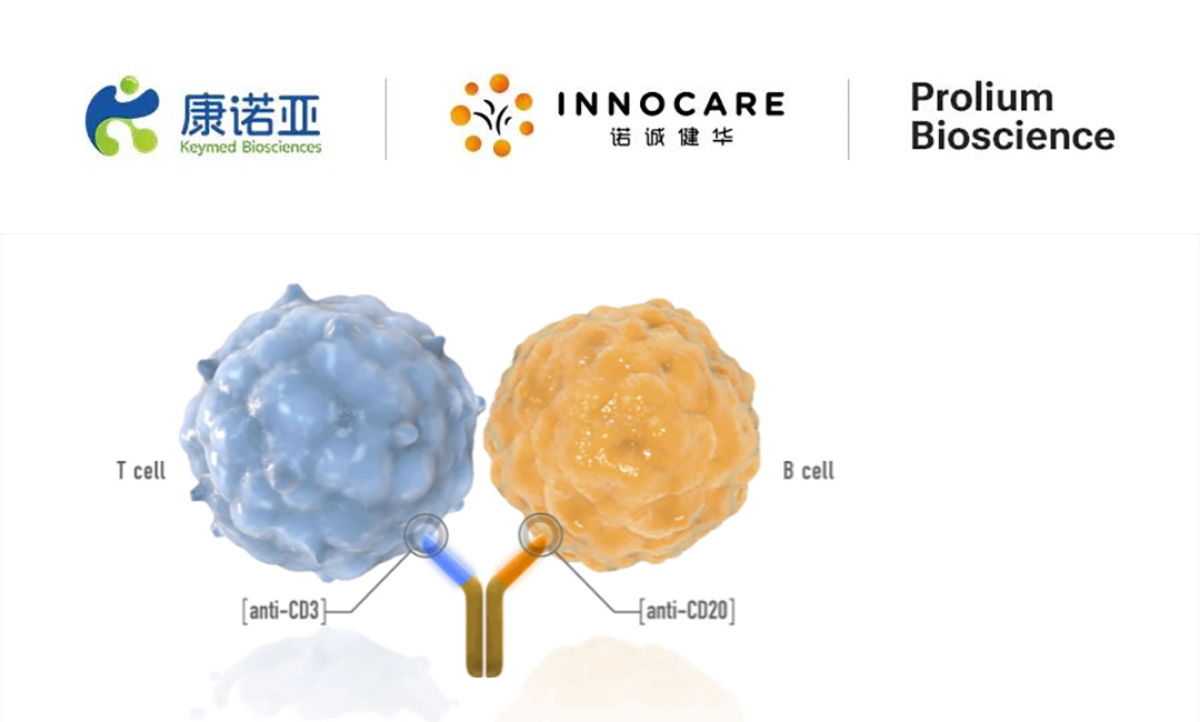 Keymed and InnoCare Announce Licensing Deal for CD20xCD3 Bispecific Antibody with Prolium