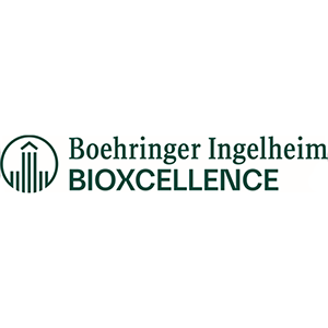 Explore the latest insights on BioXcellence and its impact on China's pharmaceutical industry. Fineline Info & Tech delivers reliable data, news, and intelligence to help you navigate the complexities of BioXcellence's developments with precision and clarity. Stay informed and enhance your decision-making at flcube.com.