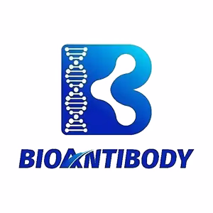 Explore the latest insights on Bioantibody Biotechnology and its impact on China's pharmaceutical industry. Fineline Info & Tech delivers reliable data, news, and intelligence to help you navigate the complexities of Bioantibody Biotechnology's developments with precision and clarity. Stay informed and enhance your decision-making at flcube.com.