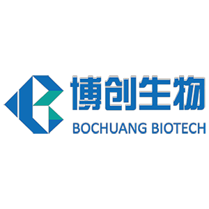 Explore the latest insights on Bochuang Biotechnology and its impact on China's pharmaceutical industry. Fineline Info & Tech delivers reliable data, news, and intelligence to help you navigate the complexities of Bochuang Biotechnology's developments with precision and clarity. Stay informed and enhance your decision-making at flcube.com.
