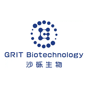 Explore the latest insights on GRIT Biotechnology and its impact on China's pharmaceutical industry. Fineline Info & Tech delivers reliable data, news, and intelligence to help you navigate the complexities of GRIT Biotechnology's developments with precision and clarity. Stay informed and enhance your decision-making at flcube.com.
