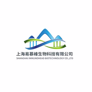 Explore the latest insights on Immunohead Biotechnology and its impact on China's pharmaceutical industry. Fineline Info & Tech delivers reliable data, news, and intelligence to help you navigate the complexities of Immunohead Biotechnology's developments with precision and clarity. Stay informed and enhance your decision-making at flcube.com.