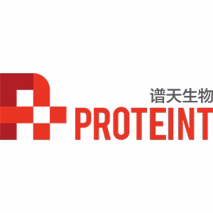 Explore the latest insights on Protein T and its impact on China's pharmaceutical industry. Fineline Info & Tech delivers reliable data, news, and intelligence to help you navigate the complexities of Protein T's developments with precision and clarity. Stay informed and enhance your decision-making at flcube.com.